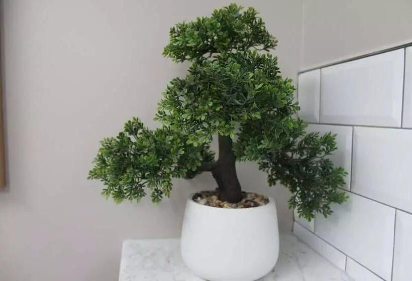 اقامتگاه Stunning 4 Bed House In Belfast