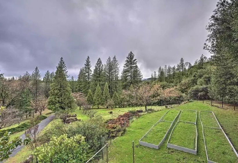 Forest View Deck + Fire Pits: Pine Grove Retreat!