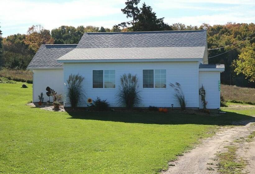 Winter Wonderland Experience In Central Lake!