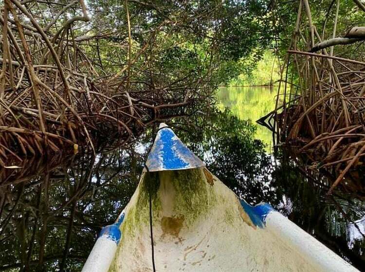 Eco Hotel Bosque Encantado