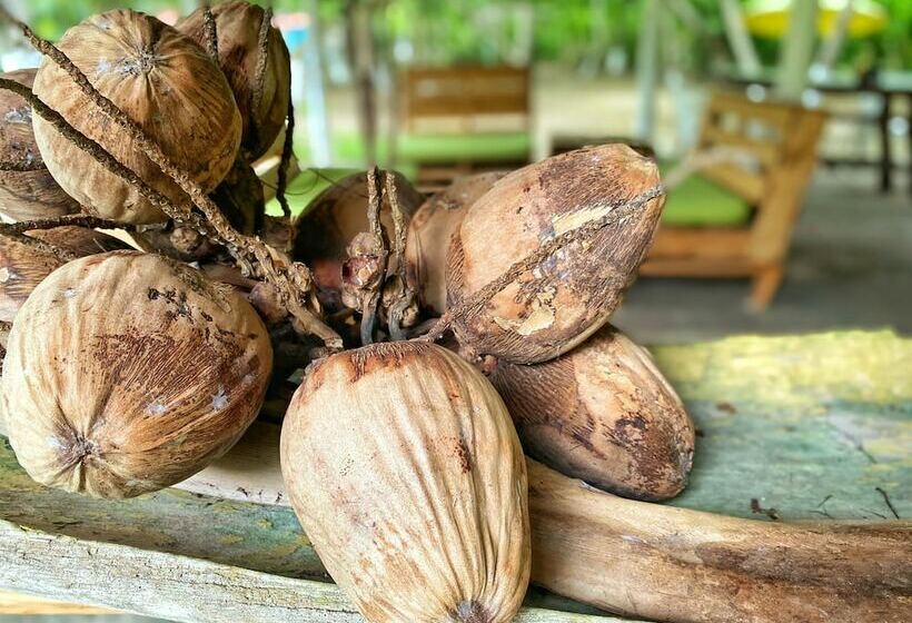 Eco Hotel Bosque Encantado