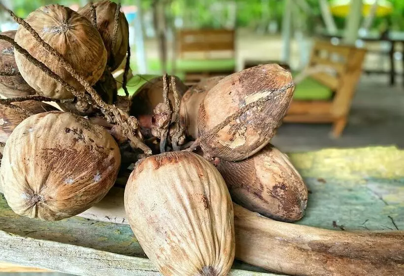 Eco Hotel Bosque Encantado