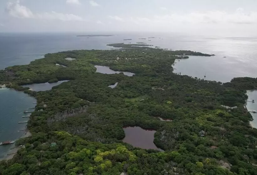 Eco Hotel Bosque Encantado