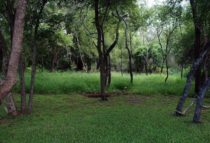 호텔 Dream Of Africa Bush Lodge