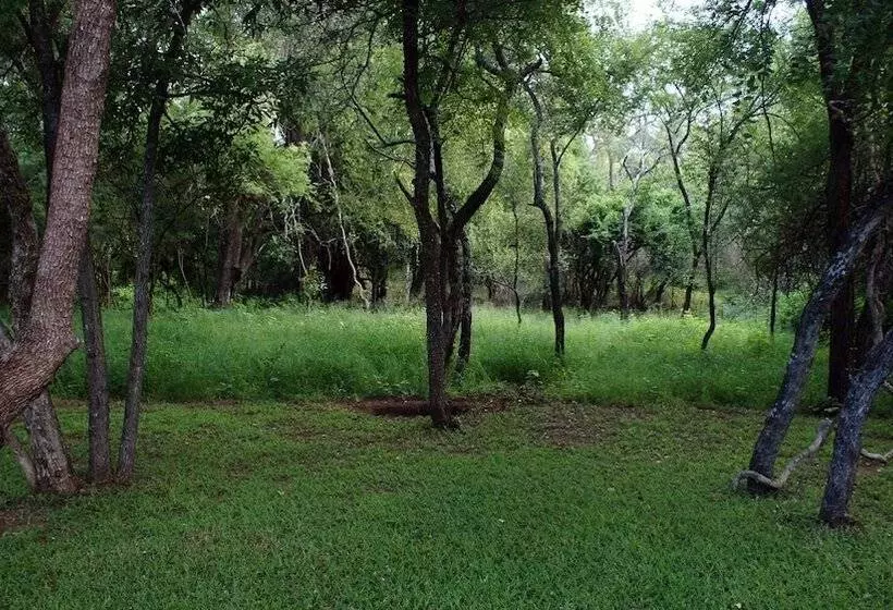 Hotelli Dream Of Africa Bush Lodge