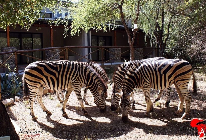 호텔 Dream Of Africa Bush Lodge