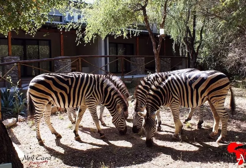 Hotelli Dream Of Africa Bush Lodge