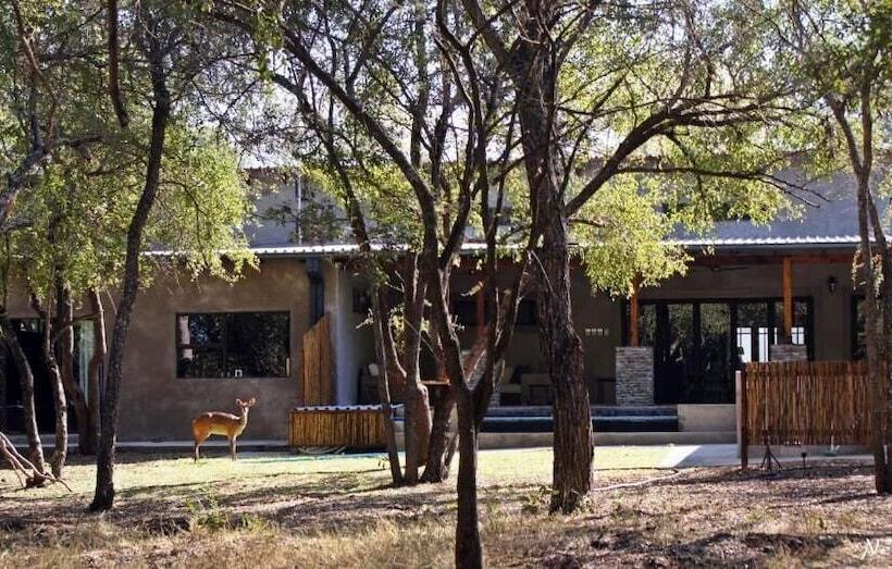 호텔 Dream Of Africa Bush Lodge