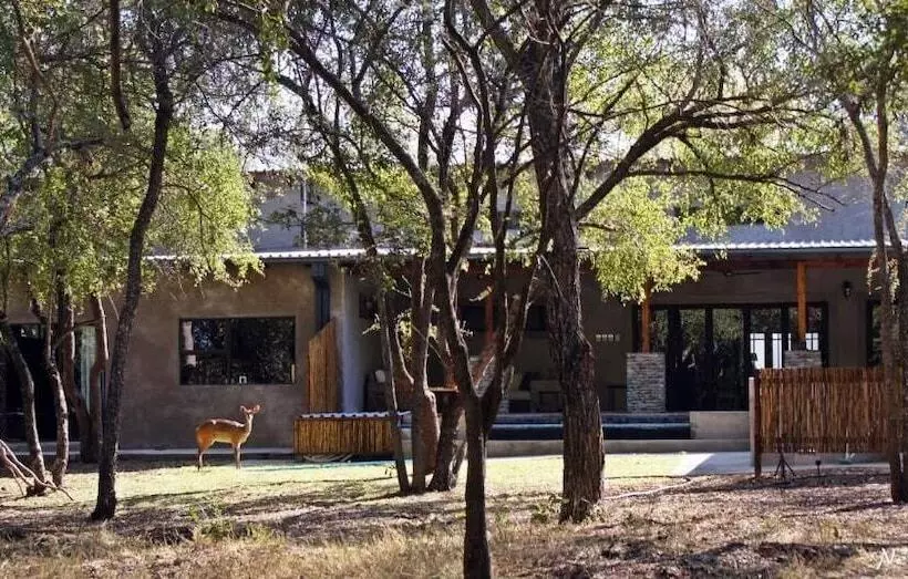 Hotelli Dream Of Africa Bush Lodge