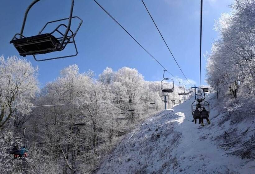 Maggie Valley Cabin W/ Private Hot Tub & Game Room