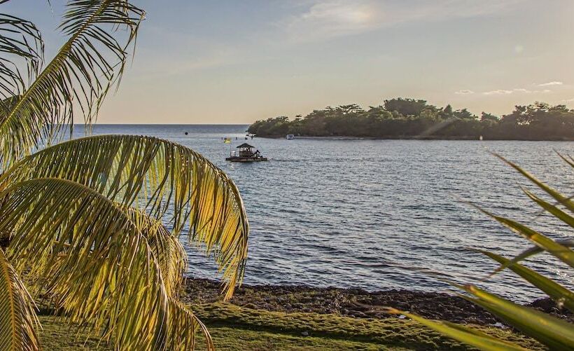 Sunrise At Point Village