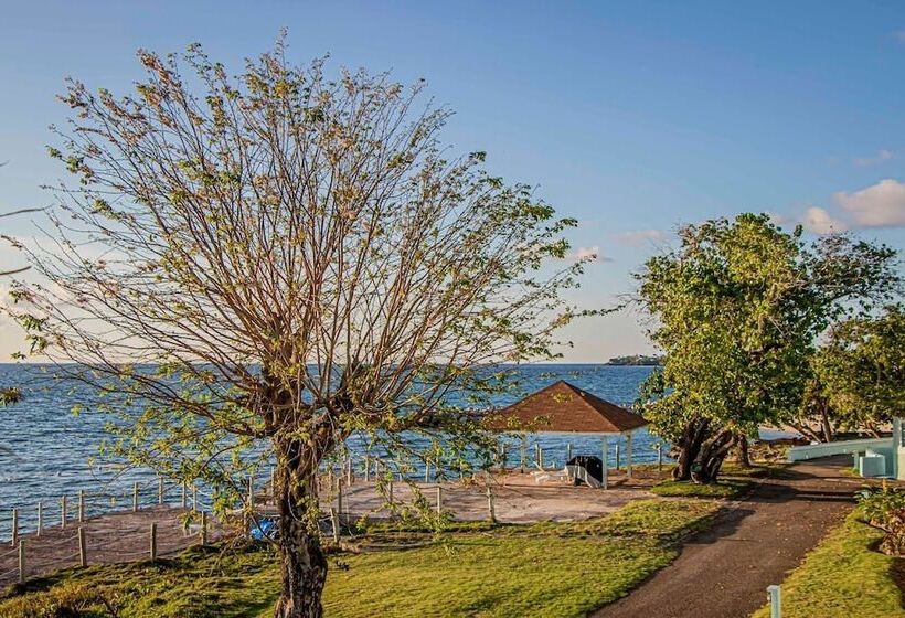 Sunrise At Point Village