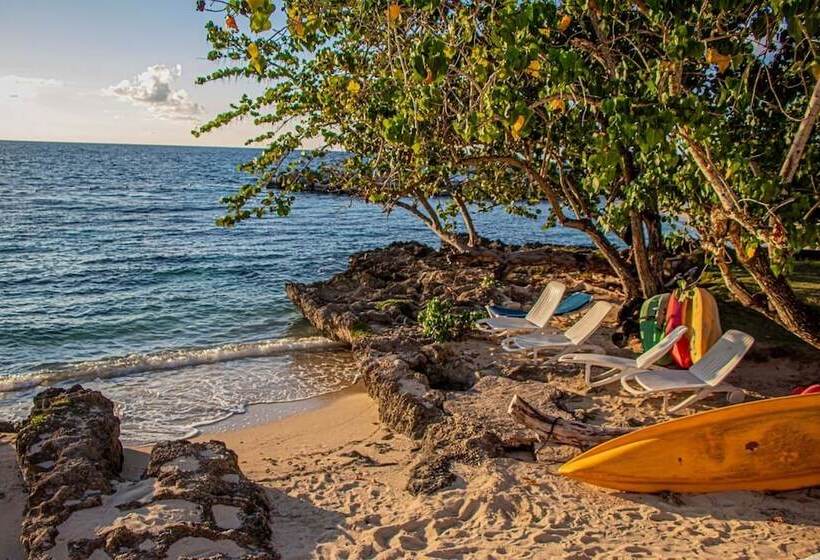 Sunrise At Point Village