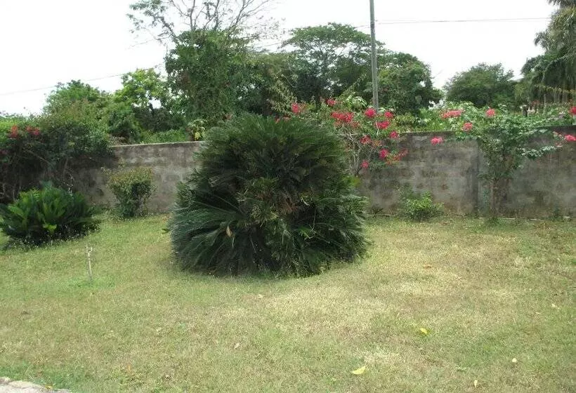 تختخواب و صبحانه Cozy S Bandb