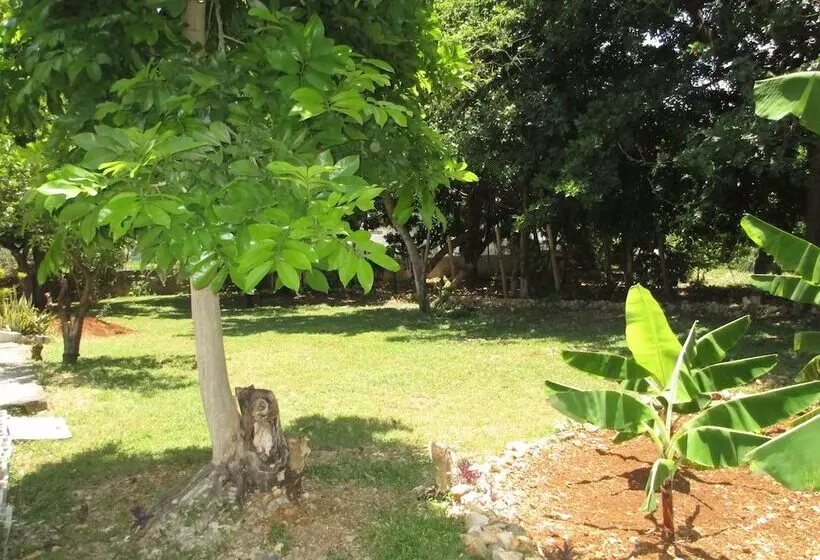 تختخواب و صبحانه Cozy S Bandb