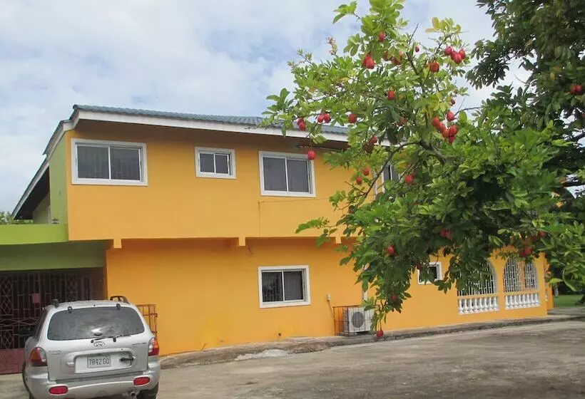 تختخواب و صبحانه Cozy S Bandb