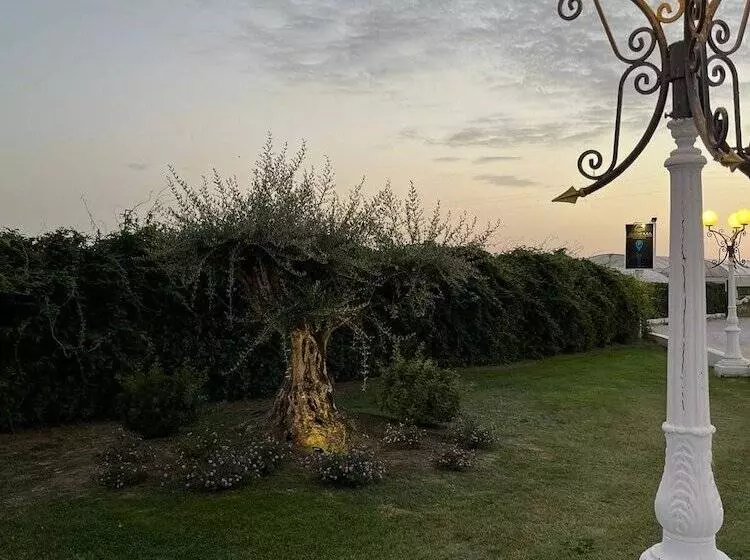 Aamiaismajoitus (B&B) Gioema