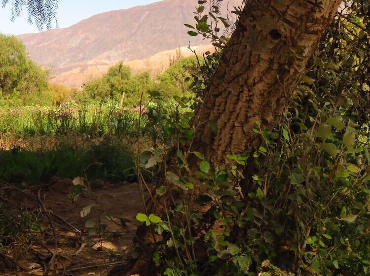 Bed & Breakfast La Paleta Del Pintor Hosteria