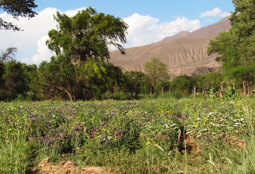 Bed & Breakfast La Paleta Del Pintor Hosteria