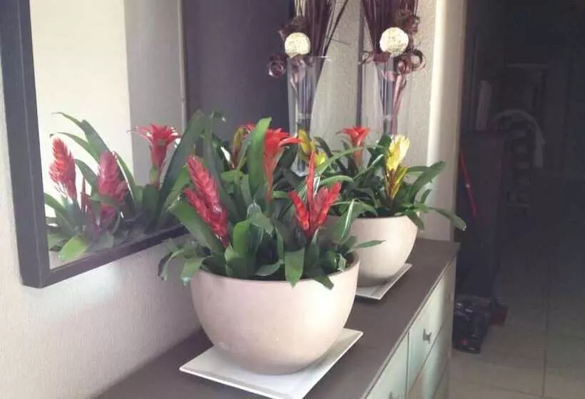 Hotelli Hôtel Les Magnanarelles