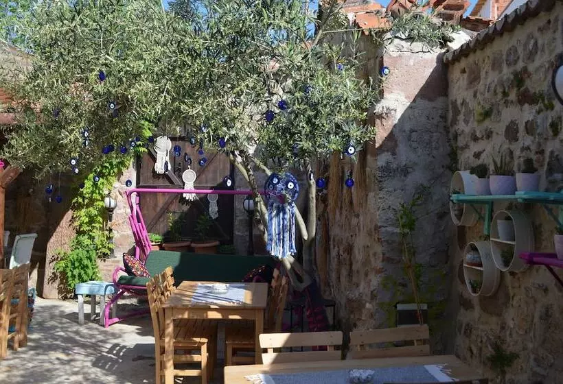 Hotelli Nezisin Konagi