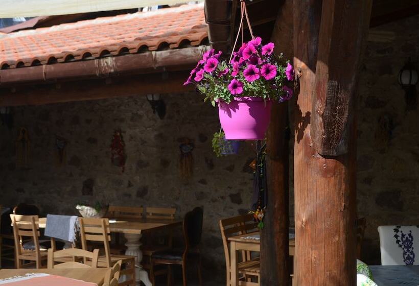 ホテル Nezisin Konagi