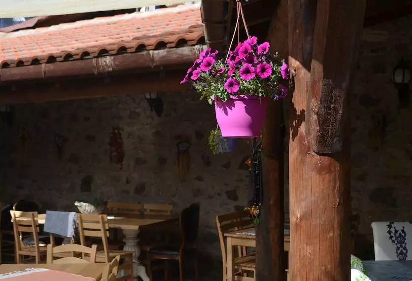 Hotelli Nezisin Konagi