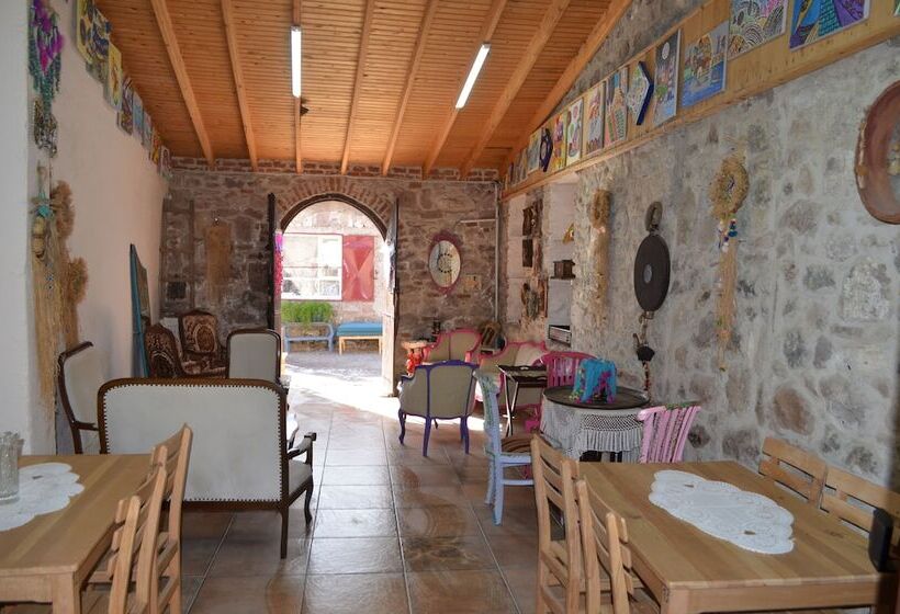 ホテル Nezisin Konagi