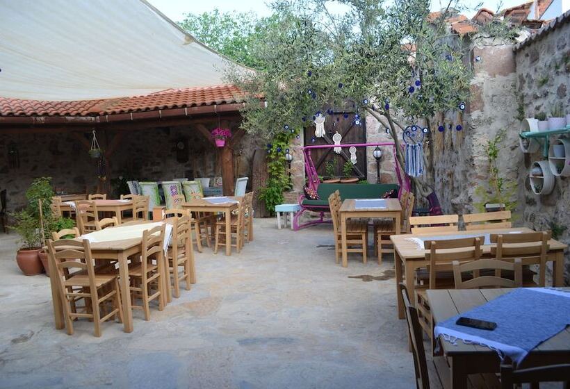 ホテル Nezisin Konagi