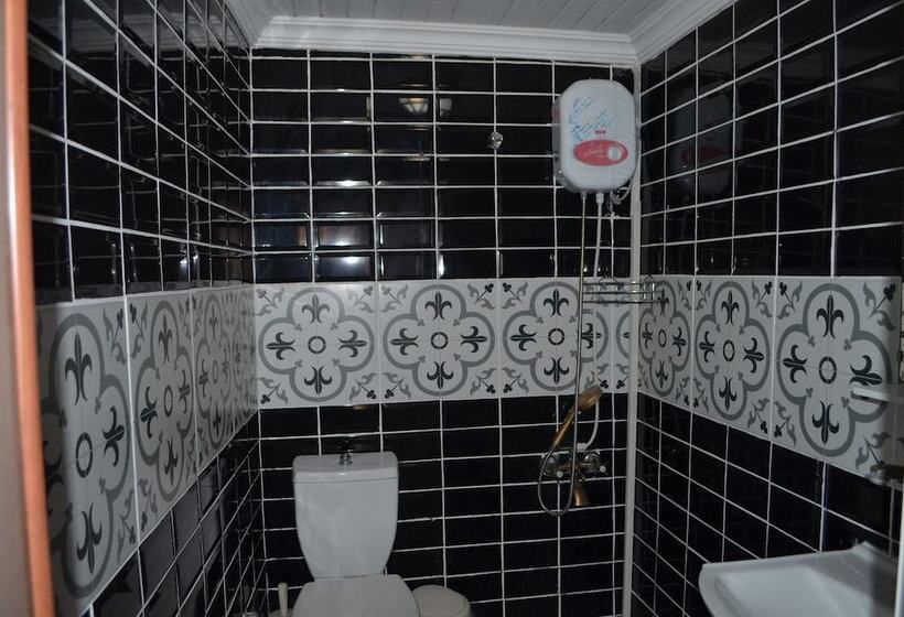 ホテル Nezisin Konagi