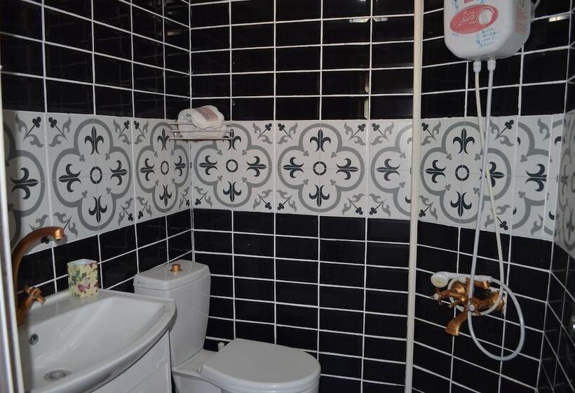 ホテル Nezisin Konagi