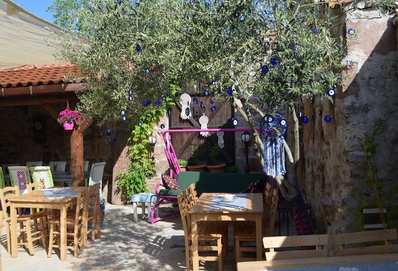 ホテル Nezisin Konagi