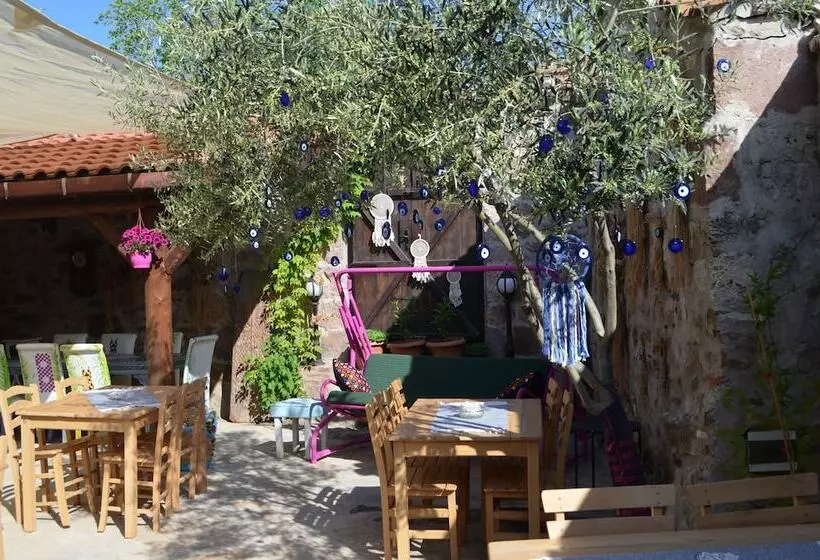 Hotelli Nezisin Konagi