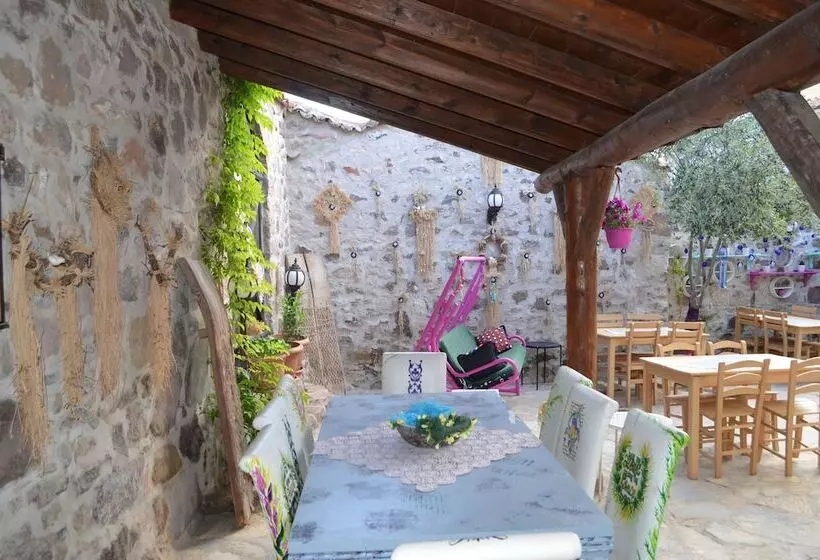 Hotelli Nezisin Konagi