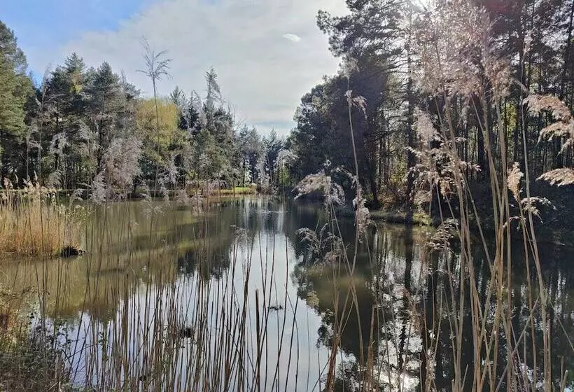 Hotelli Sublimes Hébergements En Coeur De Forêt