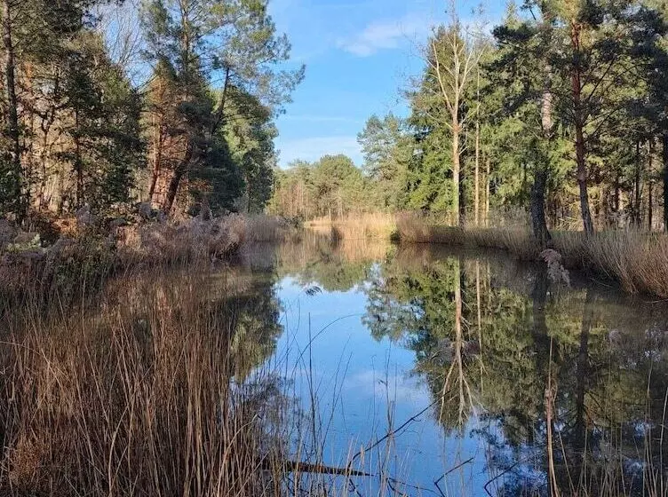 Hotelli Sublimes Hébergements En Coeur De Forêt