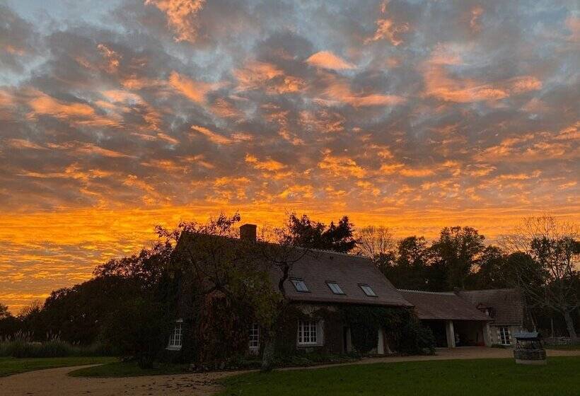 Otel Sublimes Hébergements En Coeur De Forêt