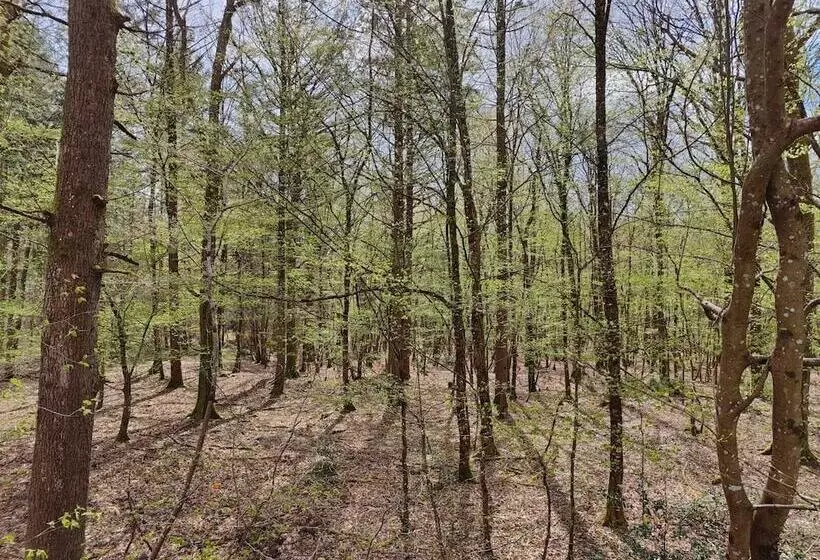 Hotelli Sublimes Hébergements En Coeur De Forêt