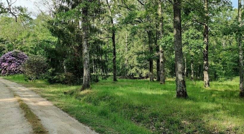 Hotel Sublimes Hébergements En Coeur De Forêt