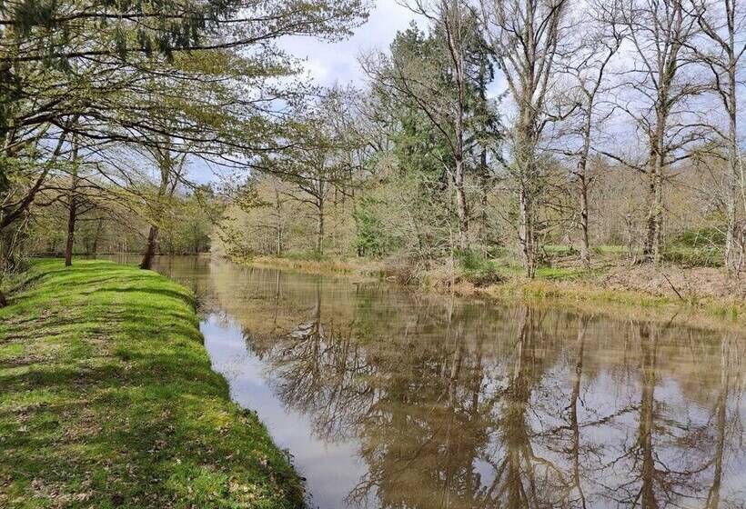 Hotel Sublimes Hébergements En Coeur De Forêt