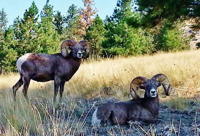 Мотель Going To The Sun Inn & Suites