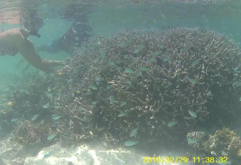 هتل Bahari Lodge, K.kaashidhoo