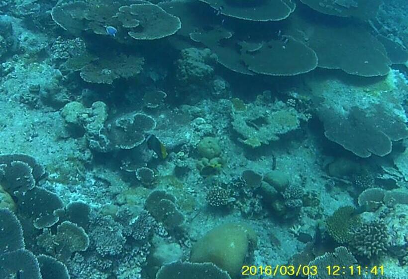 هتل Bahari Lodge, K.kaashidhoo