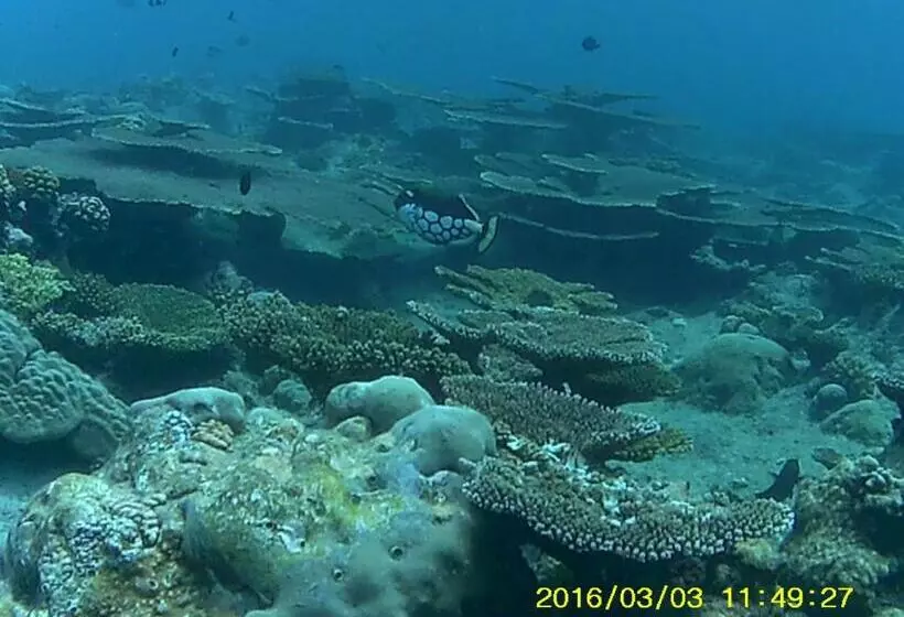 هتل Bahari Lodge, K.kaashidhoo