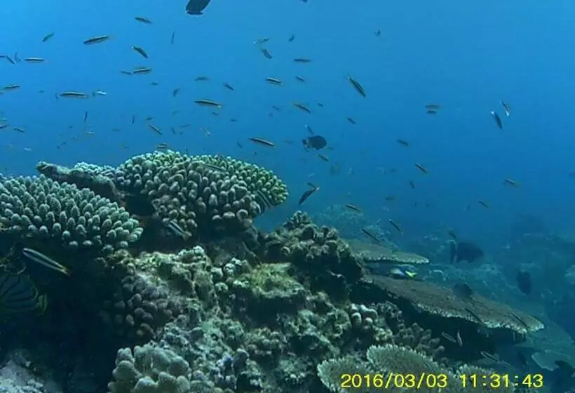 هتل Bahari Lodge, K.kaashidhoo