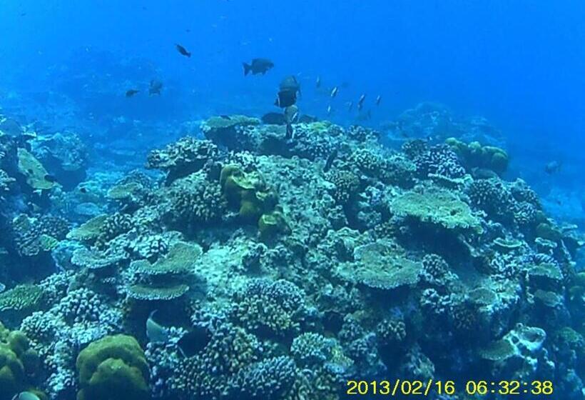 هتل Bahari Lodge, K.kaashidhoo