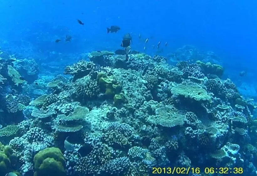 هتل Bahari Lodge, K.kaashidhoo