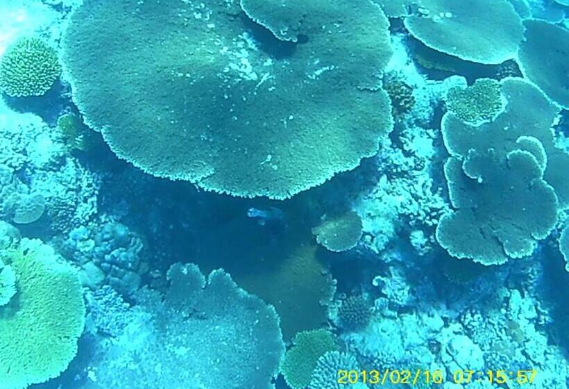 هتل Bahari Lodge, K.kaashidhoo