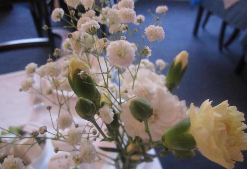 مسافرخانه Elder York Guest House