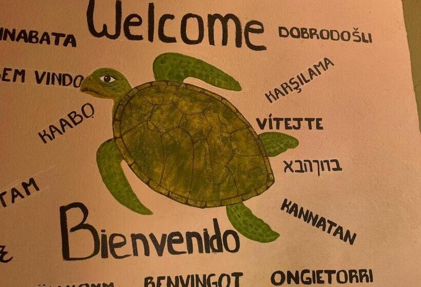 בית מלון כפרי Bigu